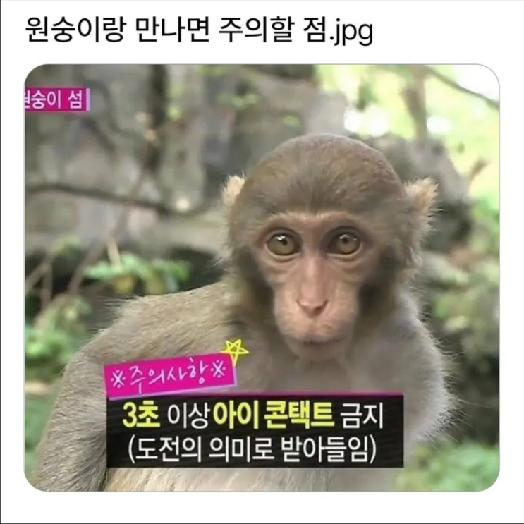 일요일에 일하다 쓰는 블로그... : 네이버 블로그