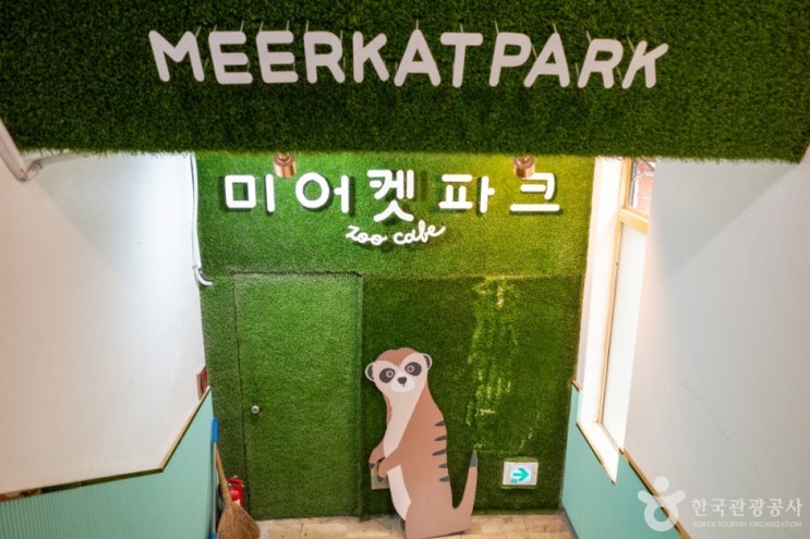 미어캣파크, 대학로에서 만나는 이색 동물 카페! 서울 동물체험 카페! 미어캣, 강아지, 고양이, 앵무새 등 : 네이버 블로그