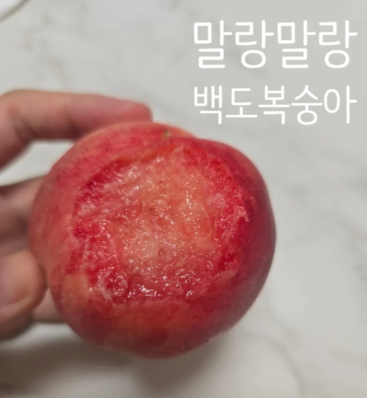 지금이 제철! 백도 말랑이 복숭아 정말 맛있어요 : 네이버 블로그