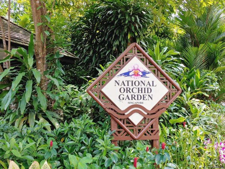 싱가포르 - 국립식물원 내셔널 오키드 가든National Orchid Garden 관람(보....