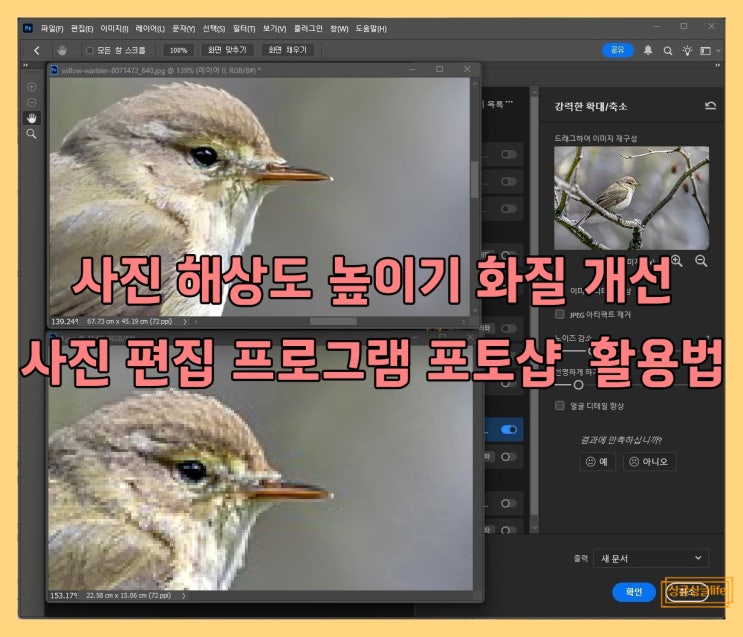사진 해상도 높이기 화질 개선 사진 편집 프로그램 포토샵 구독 활용법 : 네이버 블로그