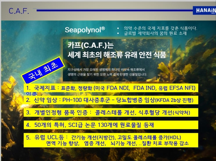 감태 유래“씨놀(Seanol®) 해조류 유래 항산화·항염증 기능성 소재의 과학적 근거와 응용” : 네이버 블로그
