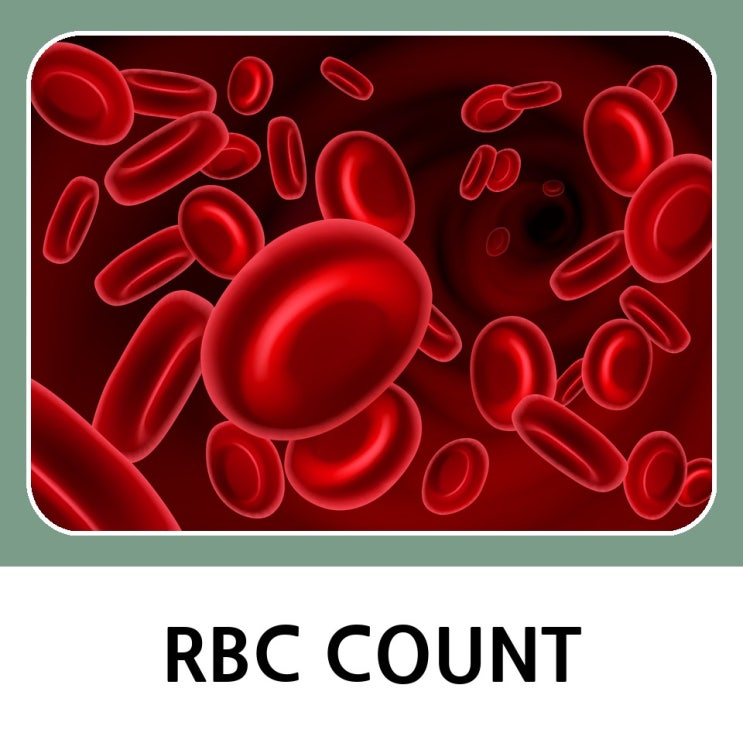 당신의 건강 신호등 RBC COUNT 이야기 : 네이버 블로그