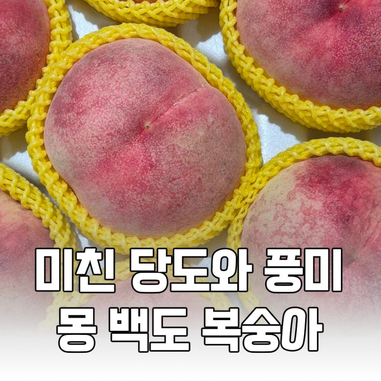 나에게 선물해야 하는 미친 당도의 몽 백도 복숭아 : 네이버 블로그