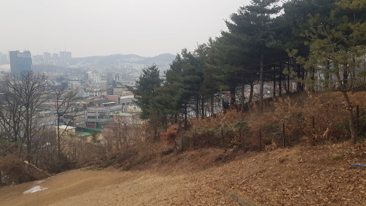 서울대학교(SNU)의 세계 대학 순위는 133위 (지난해 135위에서 2계단 상승)공신력 있는 곳 - 한국의 최고 인재 대려다 ...