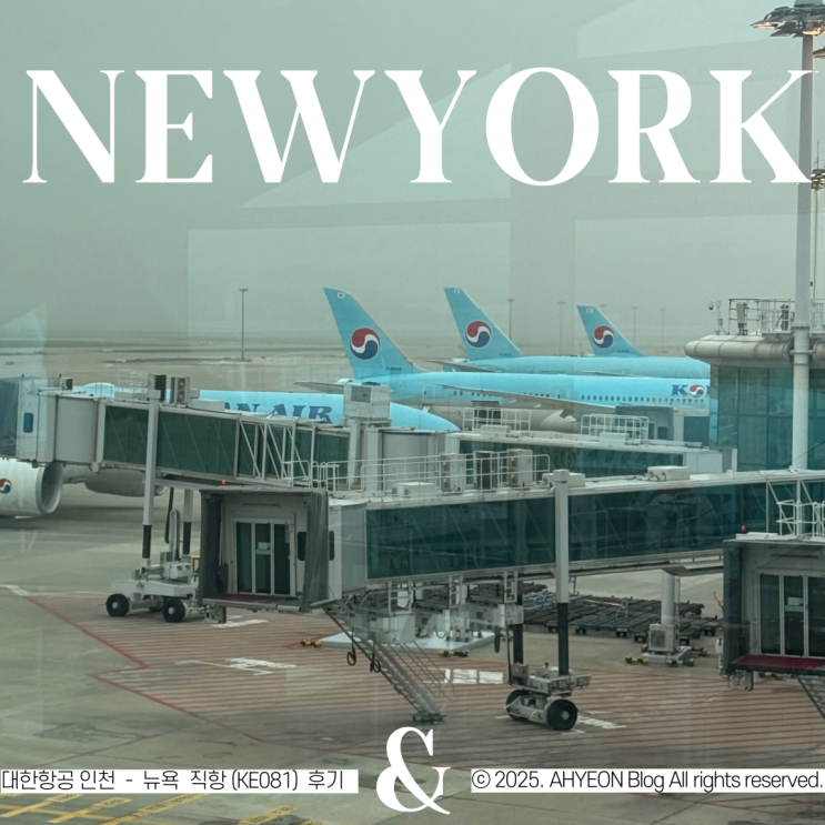 대한항공 KE081 인천 뉴욕 직항 예매 꿀팁 이코노미 기내식 비행시간 수하물 자리추천 : 네이버 블로그