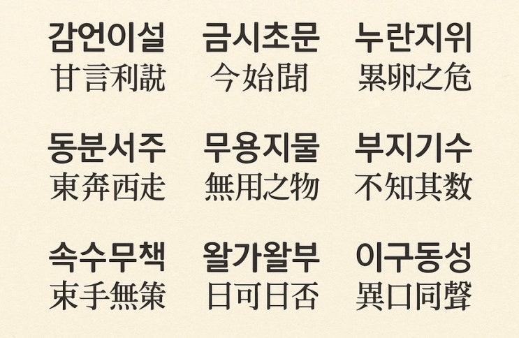 일상에서 자주 쓰는 헷갈리는 사자성어 10가지 🧐 ️ : 네이버 블로그