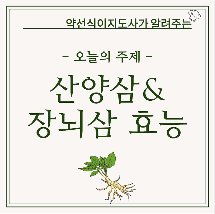 산양삼(산양산삼) 장뇌삼 효능 차이 뇌두 먹을까말까 : 네이버 블로그
