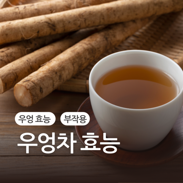 우엉차효능 부작용 다양한 우엉 효능 : 네이버 블로그