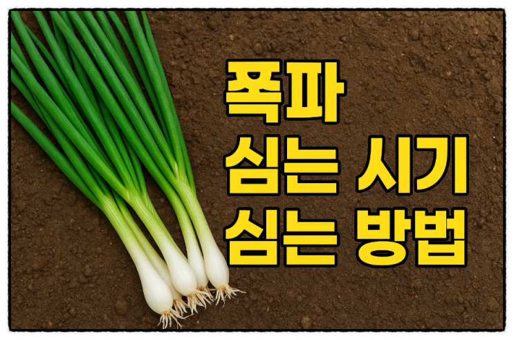 쪽파 재배 심는 시기, 심는 방법, 웃거름 주는 시기, 효능,쪽파요리 : 네이버 블로그