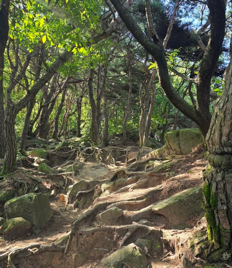 [익산 미륵산] 기양저수지 따라 걷는 '물멍' 힐링, 숨겨진 등산코스 완벽 가이드! : 네이버 블로그