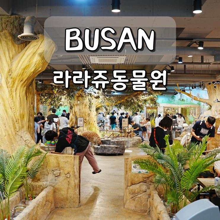 부산 명지 실내동물원 라라쥬 카페 데이트 알차게 즐기는 법