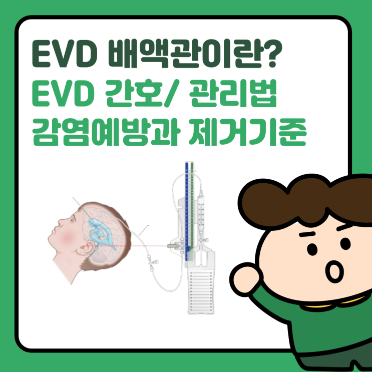 EVD 간호 정리 (배액관 관리법, 감염 예방과 제거 기준, 의학용어 EVD) : 네이버 블로그