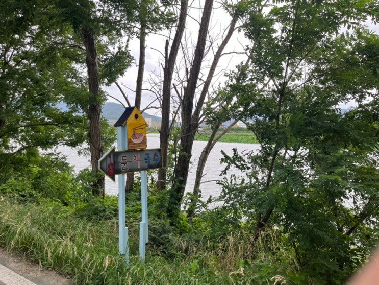 부산 강서구 명지 애견동반식당  “ 둔치국수 ” 후기