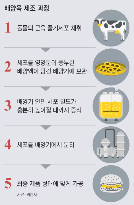 배양육 산업의 미래 : 네이버 블로그