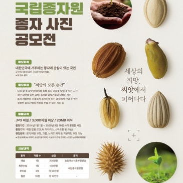 display_%2826%29.jpg?type=s3
