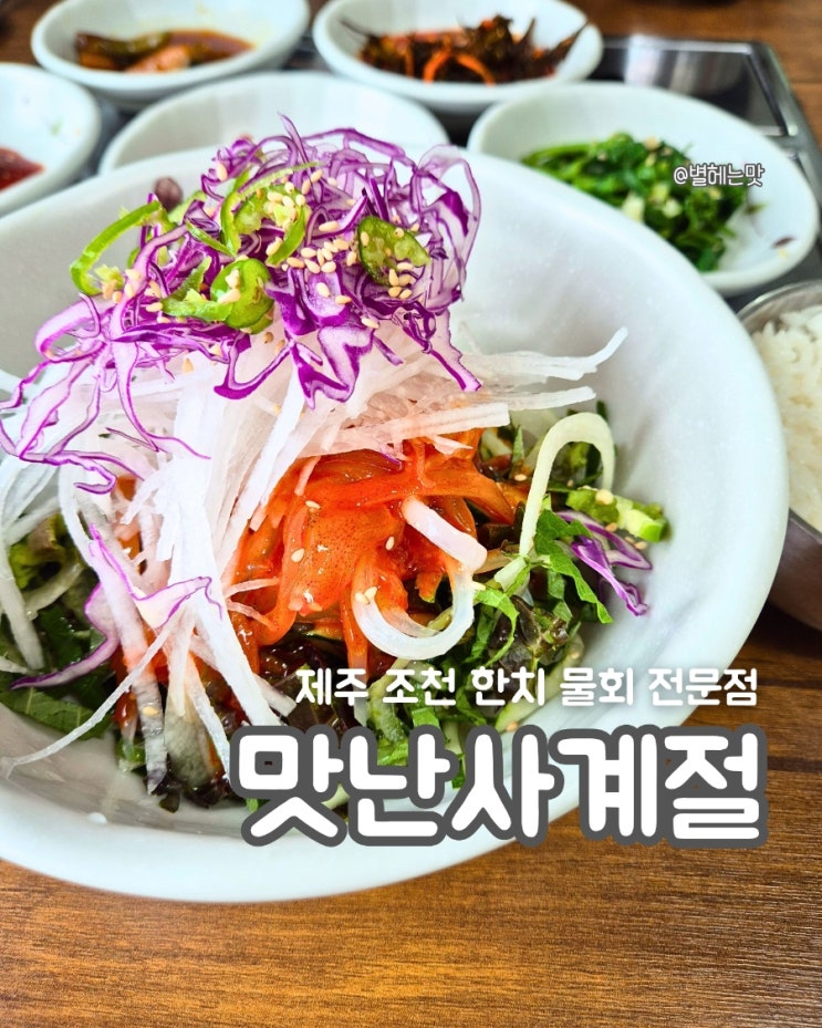 [맛난사계절] 제주 한치물회 맛집 : 네이버 블로그