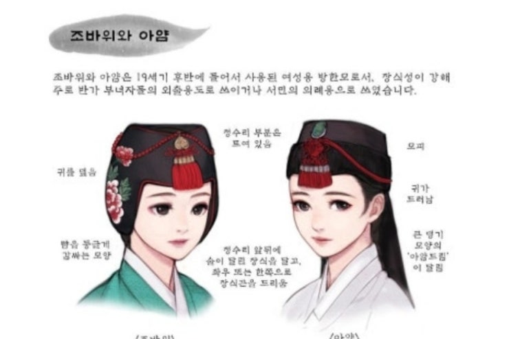 루미 그리고 아얌 : 네이버 블로그