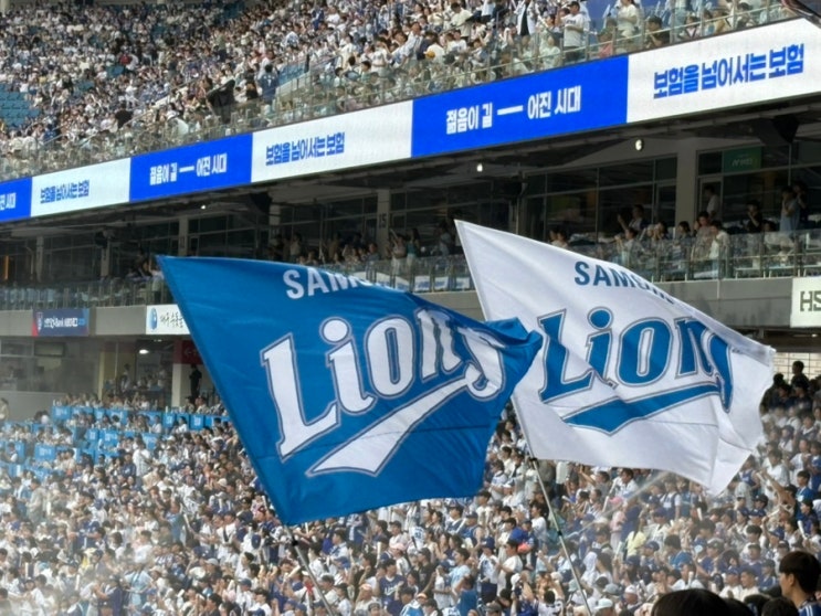 250801-02, LG전⚾️🦁💙 : 네이버 블로그