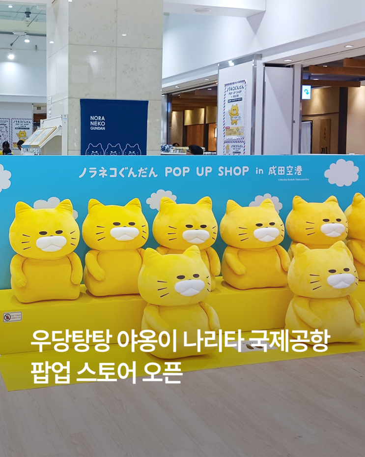 우당탕탕 야옹이 나리타 국제공항 팝업 스토어 오픈! : 네이버 블로그