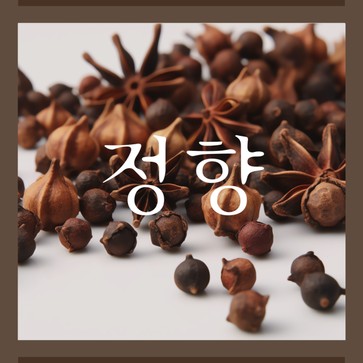 정향 효능 향신료 그 이상의 건강 보물 : 네이버 블로그