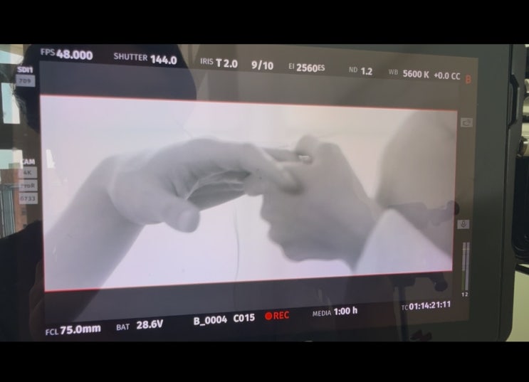 250807 리사 인스스 켄타로 팔뚝? 손?🫢 : 네이버 블로그