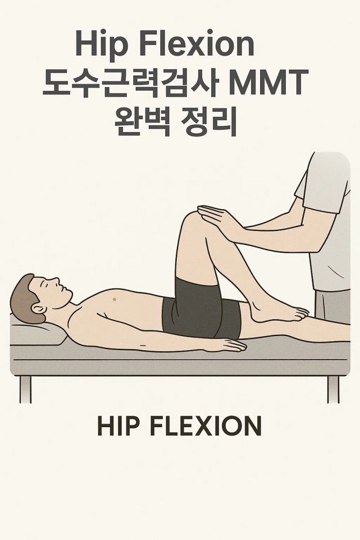 Hip Flexion – 도수근력검사 MMT 완벽 정리 : 네이버 블로그