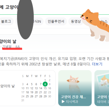 입양 안내 | 사랑스러운 아깽이들을 소개합니다! 함께할 가족을 기다리는 귀염뽀짝한 고양이 친구들을 소개할게요! RSS 대표 이미지