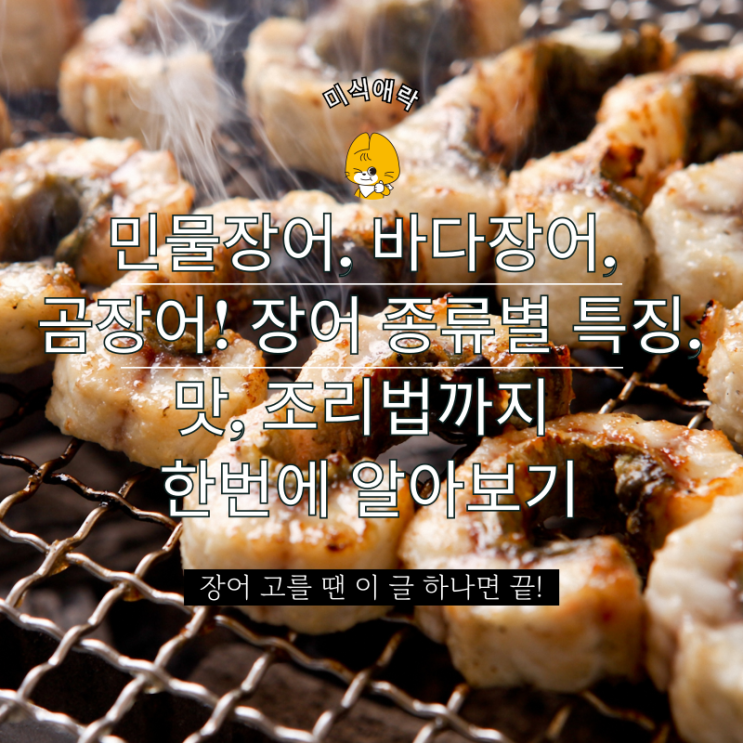 민물장어, 바다장어, 곰장어 차이 총정리! 장어 종류별 특징, 맛, 조리법까지 한번에 알아보기 : 네이버 블로그