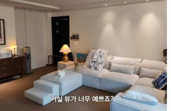 임수향 집 위치 동네 어디 미녀와 순정남 과거 성형 논란 결혼 이상형 62평 청담동 집안 이사 ....