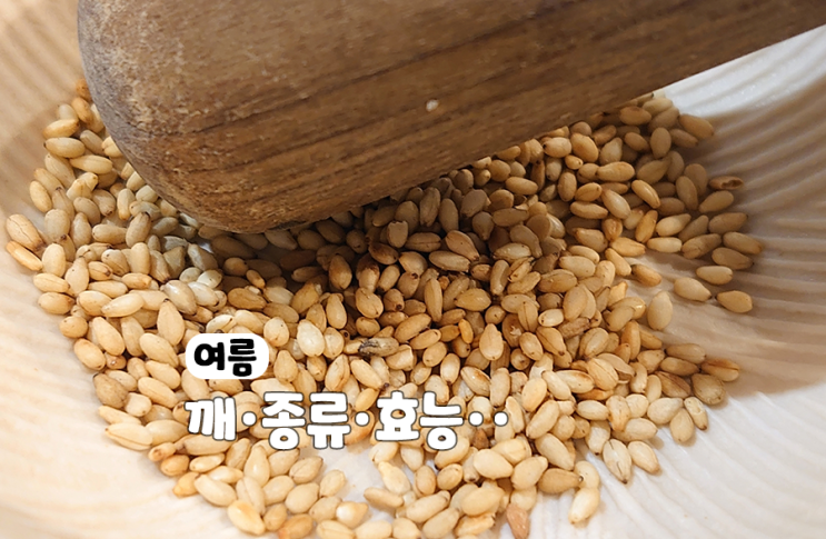 볶은 참깨효능 흑임자 통들깨 효능 : 네이버 블로그