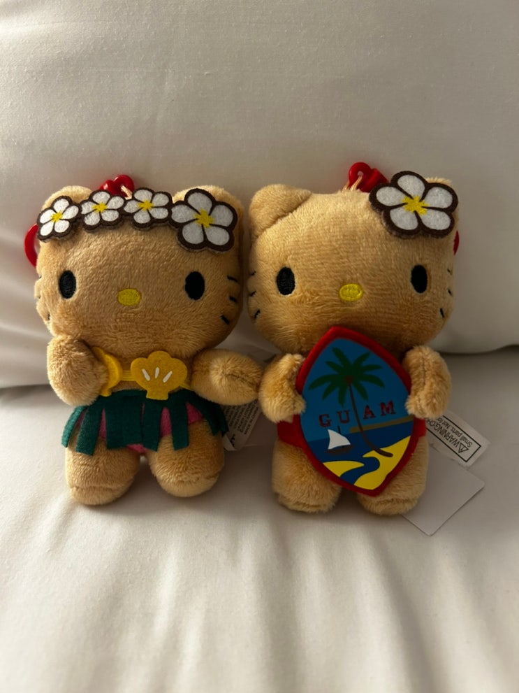 [괌] 1일차- Guam PIC, ABC store, super american circus