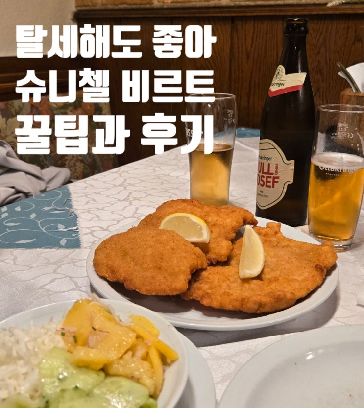 [빈] 제발 '슈니첼 비르트'(Schnitzelwirt) 가주면 안될까? 두 번이나 방....