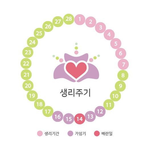 가임기 배란일 뜻, 임신확률 계산법, 증상, 이 글만 보면 됩니다 : 네이버 블로그