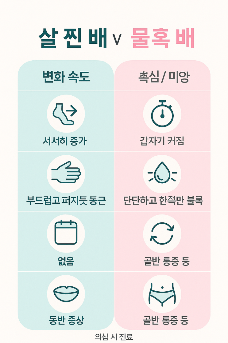 🥚 난소 물혹 ( 난소낭종) 증상, 종류, 원인, 제거법까지! : 네이버 블로그