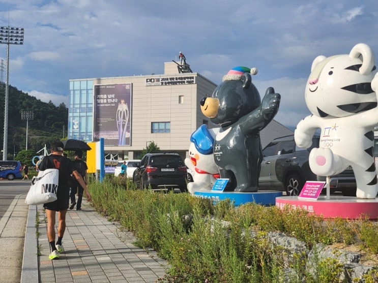 [달리는일상] 2025 "Happy700평창" 대관령 전국하프마라톤대회 참가후기 대회장 코스안내 아식스 대한육상연맹