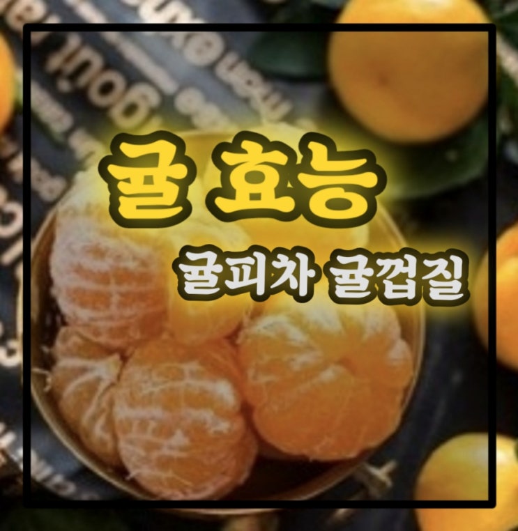 귤 나무 귤피차 귤껍질 효능 꽃말 : 네이버 블로그