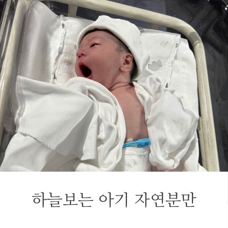 하늘보는 아기 자연분만 출산 후기 : 네이버 블로그