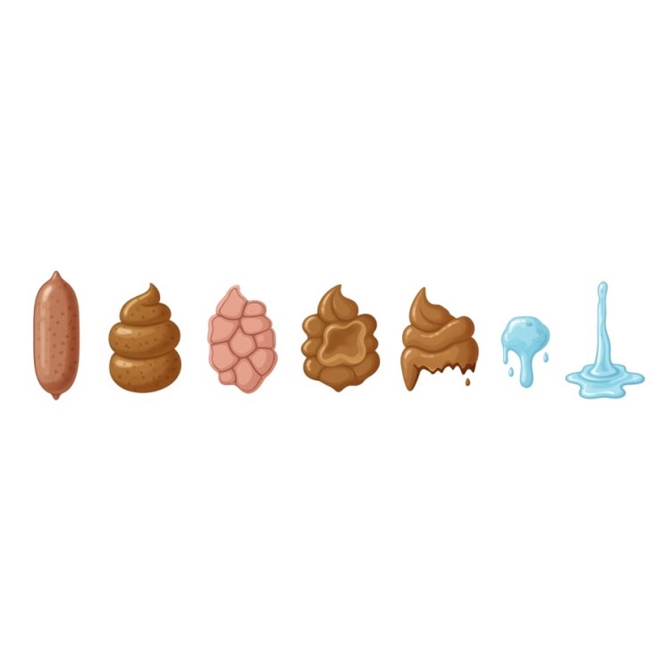 🚽 똥 외형 & 냄새로 보는 건강 신호 총정리 : 네이버 블로그