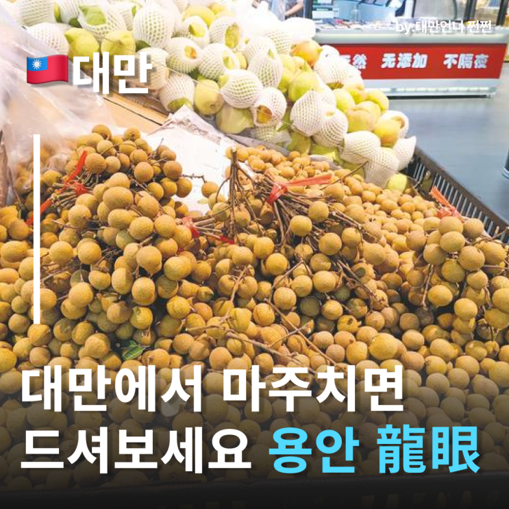 9월대만여행에서 꼭 먹어야 할 대만과일 용안(롱안,롱옌) : 네이버 블로그