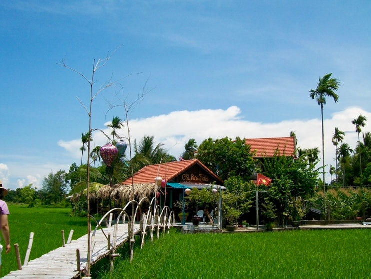 호이안 카페|old rice field, sound of silence,  silent cafe&food, mimi restaurant, mat....