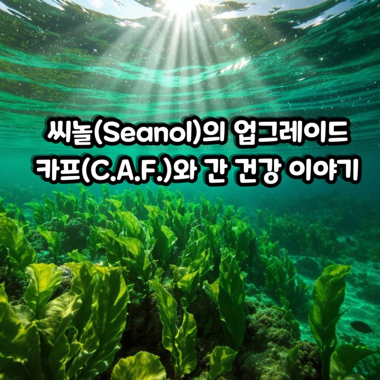 씨놀(Seanol)의 업그레이드 카프(C.A.F.)와 간 건강 이야기 : 네이버 블로그