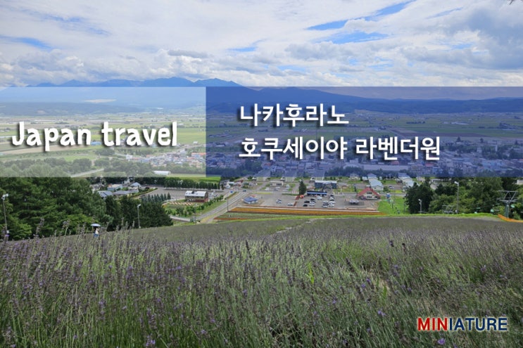 [홋카이도여행] 나카후라노 호쿠세이야마 라벤더원