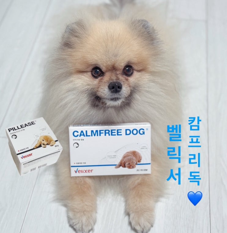 부산정여왕 - 벨릭서 캄프리독 스트레스 완화 보호제, 반려견용 캡슐 영양제 추천!!, velixer calmfree dog ...