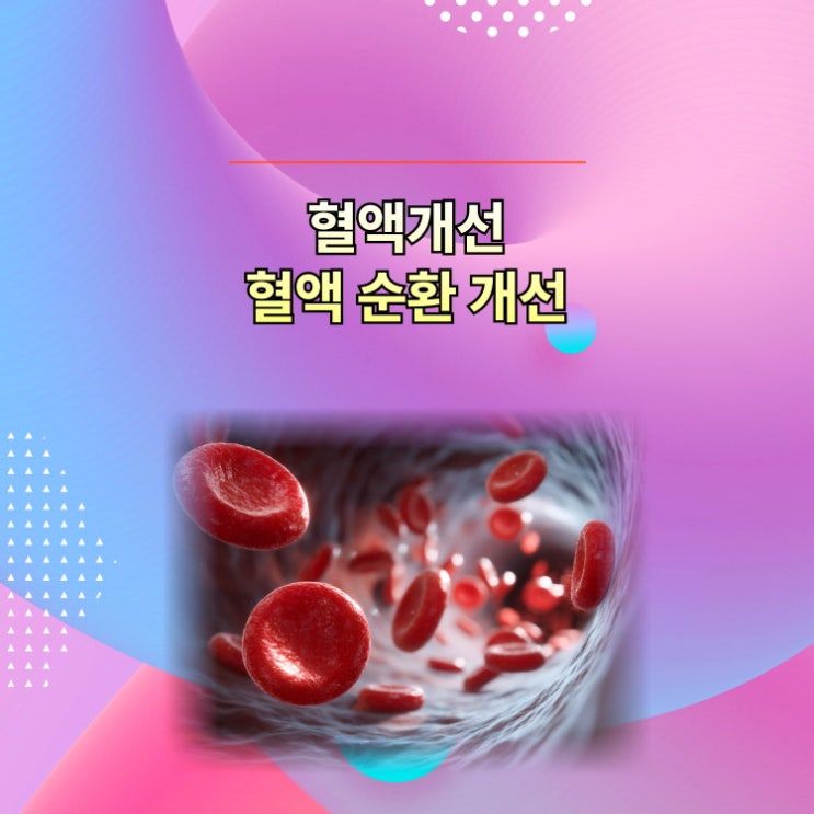 혈액 순환 개선에 좋은 음식 총정리:건강한 혈류 관리법 : 네이버 블로그