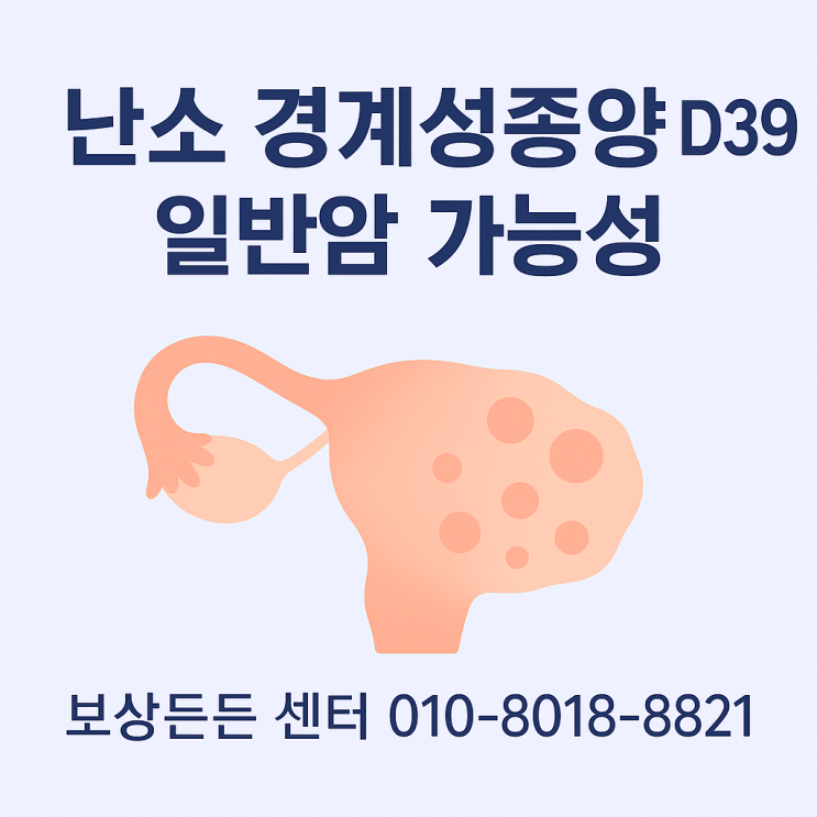 난소 경계성종양 D39, 일반암 진단비 받을 수 있는 핵심 전략 : 네이버 블로그