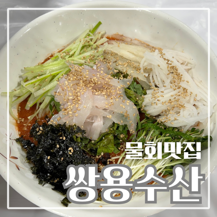 천안 물회 맛집 살얼음 가득한 물회 쌍용수산시장 : 네이버 블로그