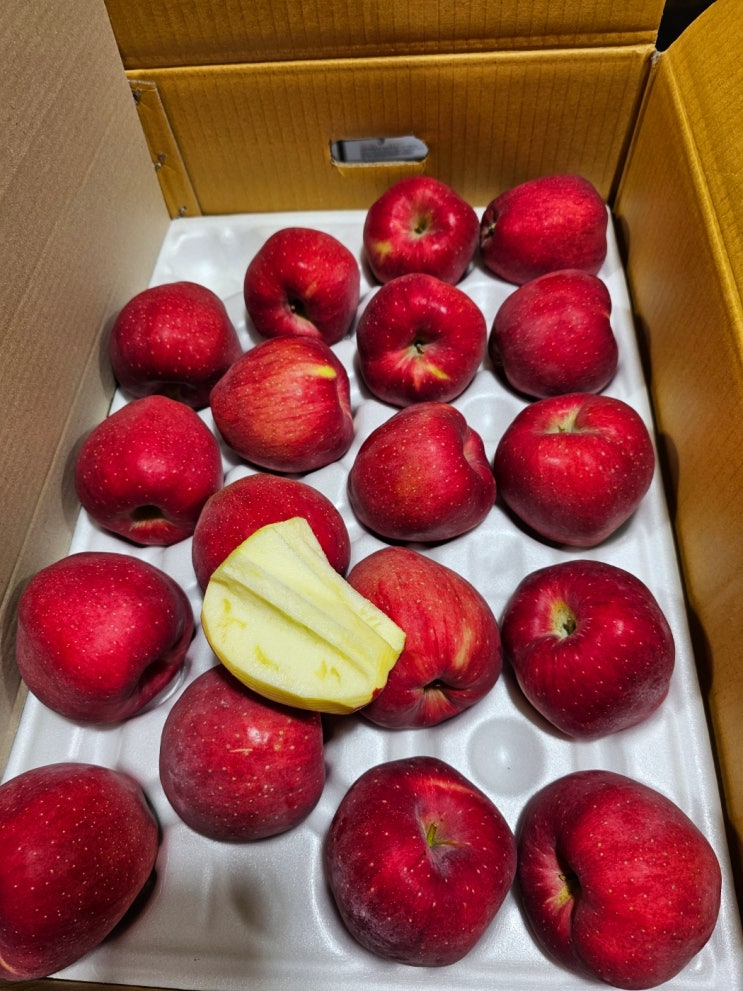 홍로사과 개량종 홍드림! 선명한 붉은색으로 톤이 살아있는 역대급 퀄리티 가을 사과 시작!! 한입 베어물면 홍로사과 특유의 ...