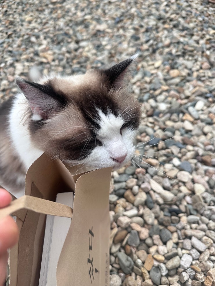 [여행/일상] 찐빵처럼 둥글달달 가을 기원🌕 영월 당일치기 여행 : 네이버 블로그