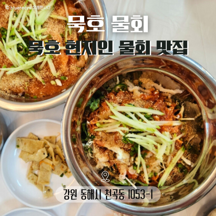동해시 묵호 현지인 맛집 묵호 물회 내돈내산 솔직후기 : 네이버 블로그
